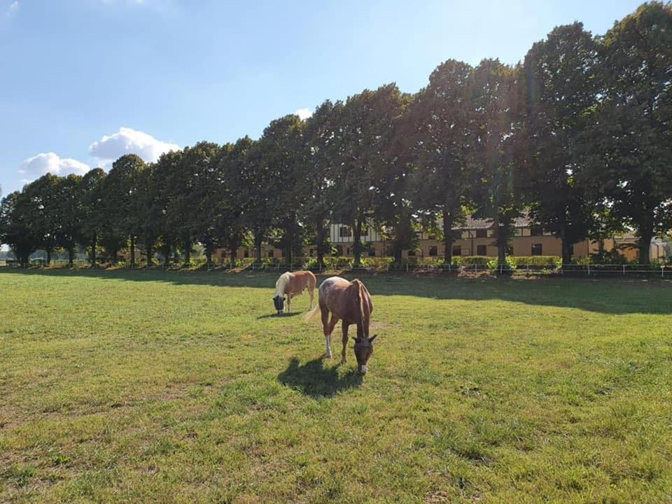Agriturismo Tenuta "Il Cigno" Villanterio Ngoại thất bức ảnh