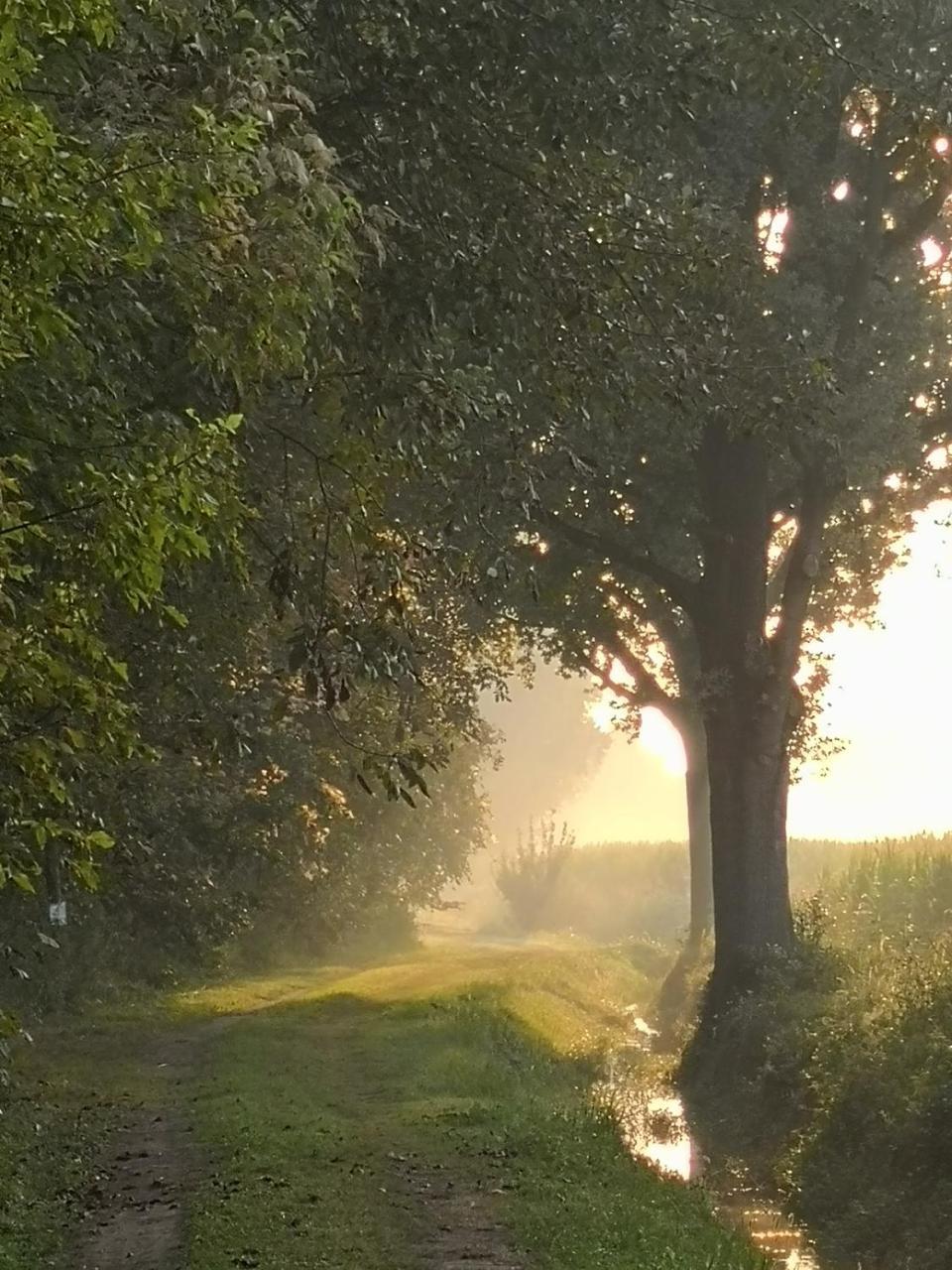 Agriturismo Tenuta "Il Cigno" Villanterio Ngoại thất bức ảnh